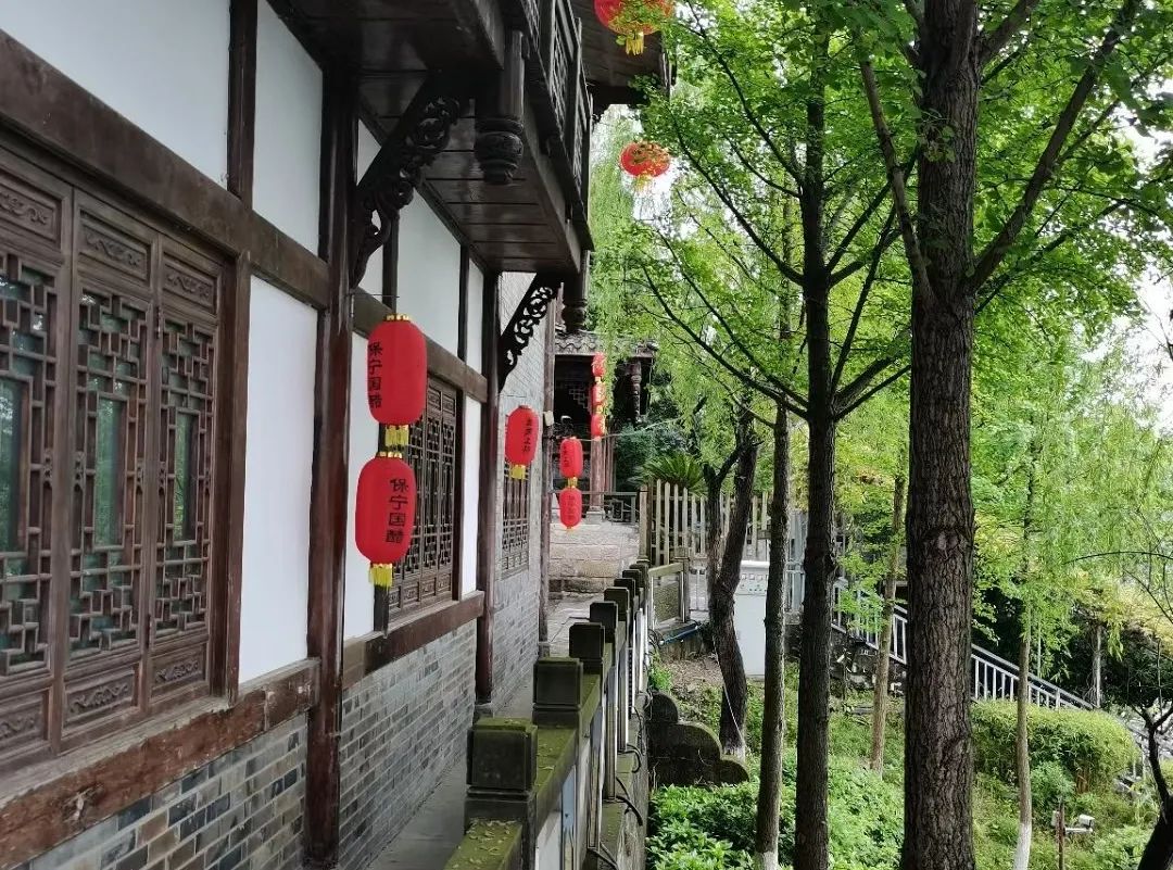 微信图片_20250614215119.jpg